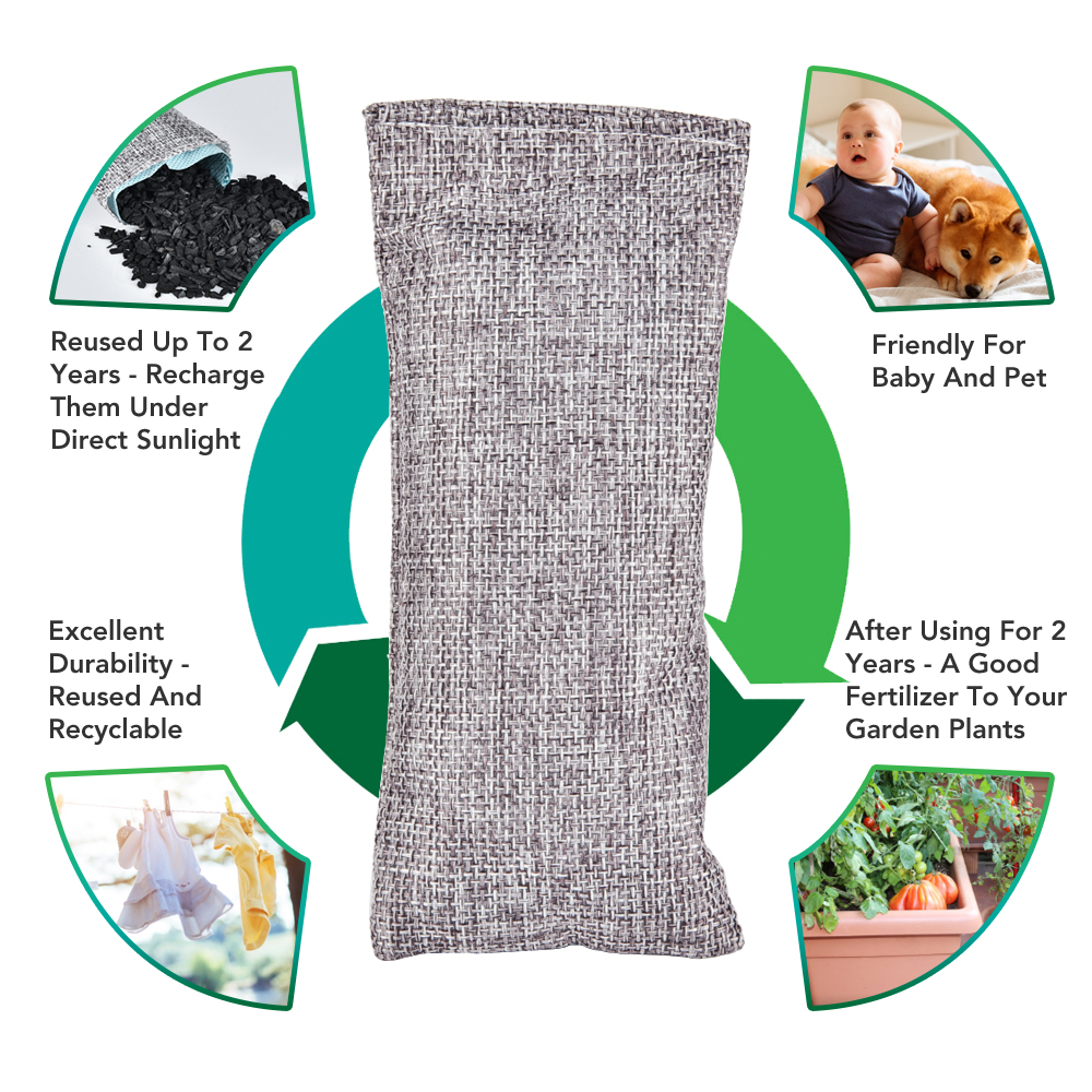 10pcs Natural Bamboo Charcoal  - Odor Eliminator Car recensione e prezzo